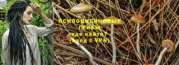 кокаин премиум Беломорск
