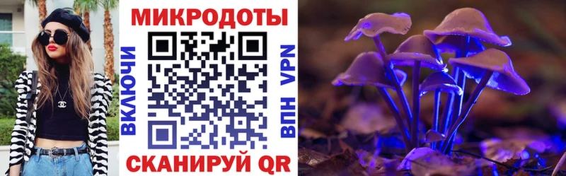 площадка наркотические препараты  где продают наркотики  Курганинск  Галлюциногенные грибы GOLDEN TEACHER 