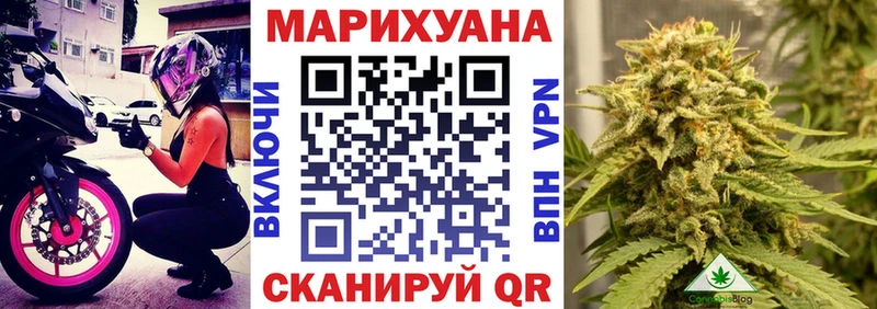 Бошки Шишки сатива  купить наркотик  Курганинск 